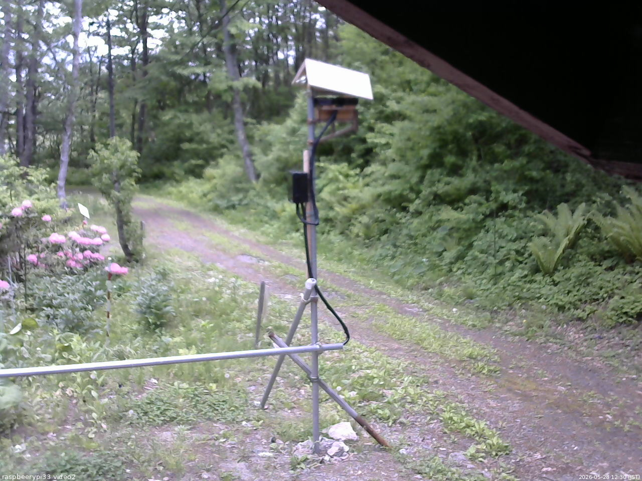 長野県菅平高原 ゆたか山荘 南側 2026/05/28 12:30