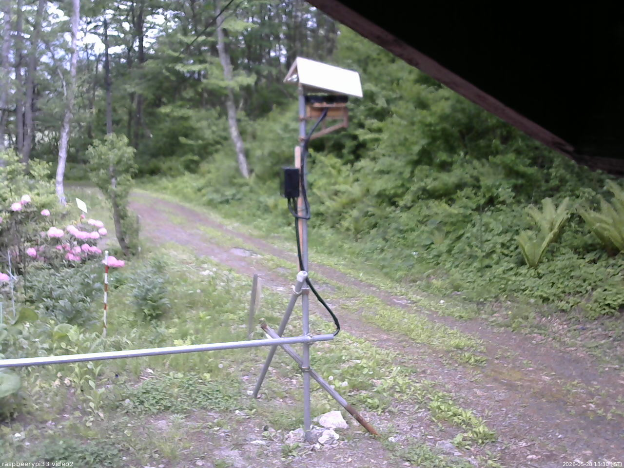 長野県菅平高原 ゆたか山荘 南側 2026/05/28 13:30