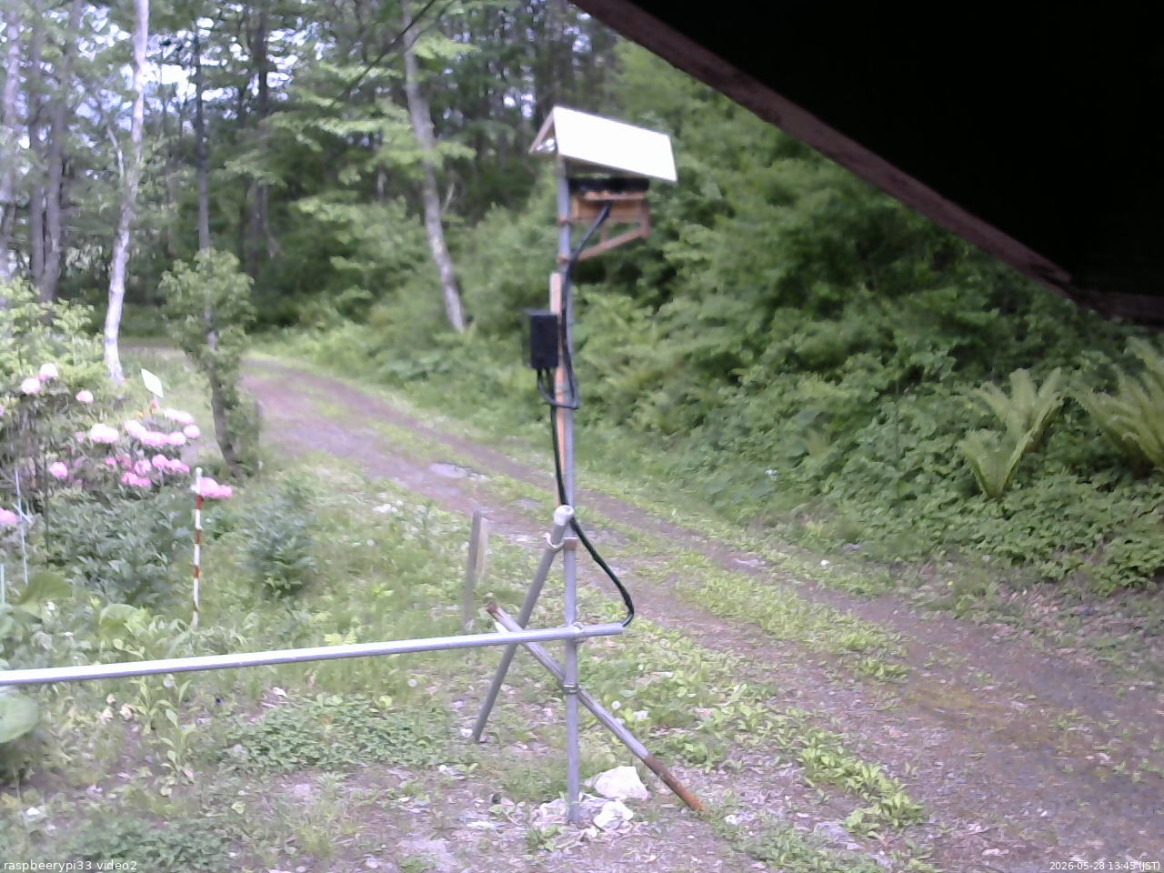 長野県菅平高原 ゆたか山荘 南側 2026/05/28 13:45