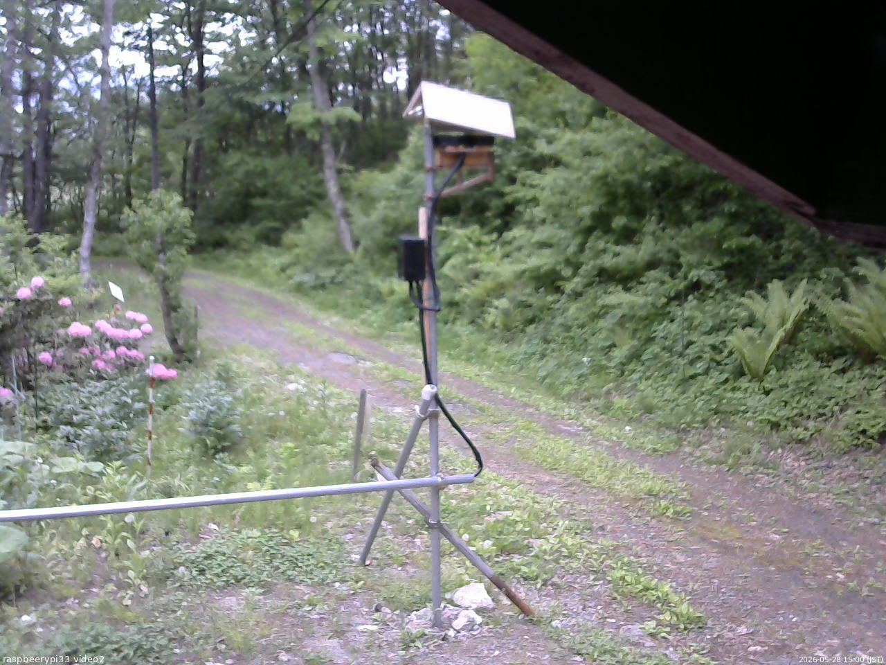 長野県菅平高原 ゆたか山荘 南側 2026/05/28 15:00