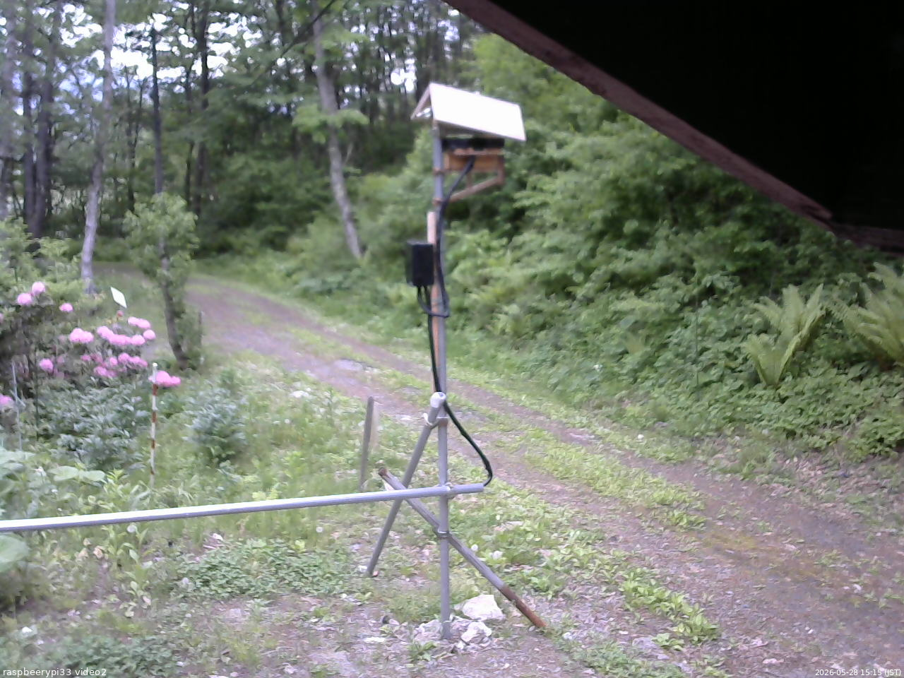 長野県菅平高原 ゆたか山荘 南側 2026/05/28 15:15