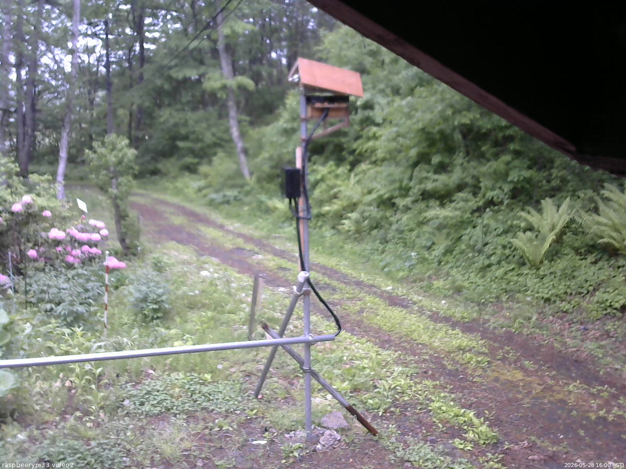 長野県菅平高原 ゆたか山荘 南側 2026/05/28 16:00