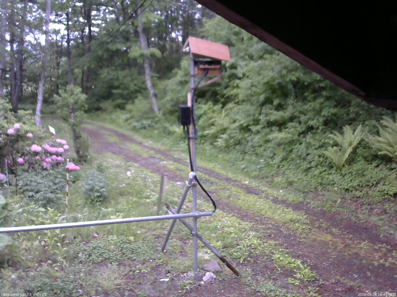 長野県菅平高原 ゆたか山荘 南側 2026/05/28 16:45