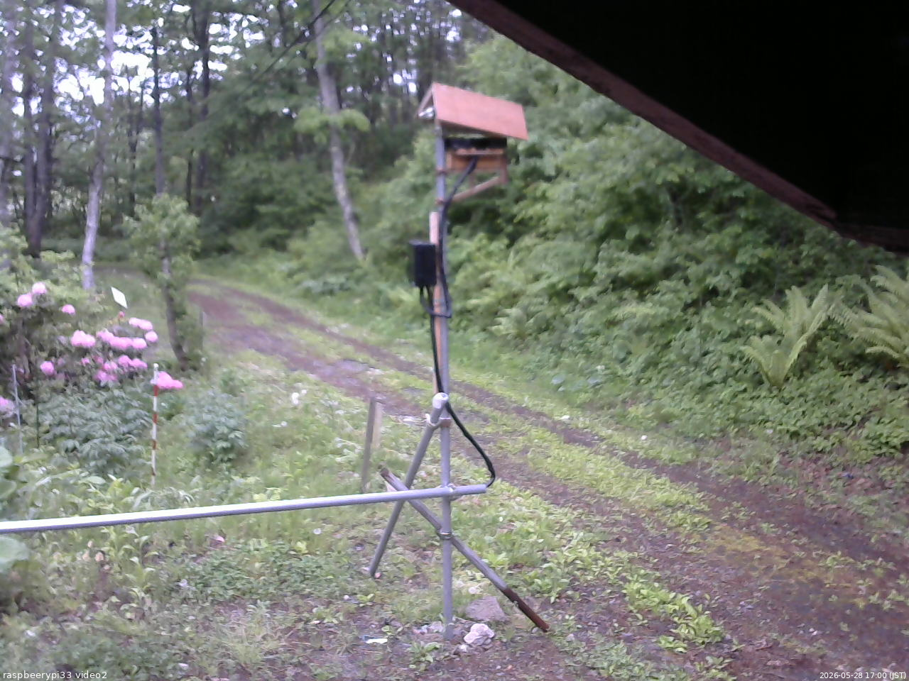 長野県菅平高原 ゆたか山荘 南側 2026/05/28 17:00
