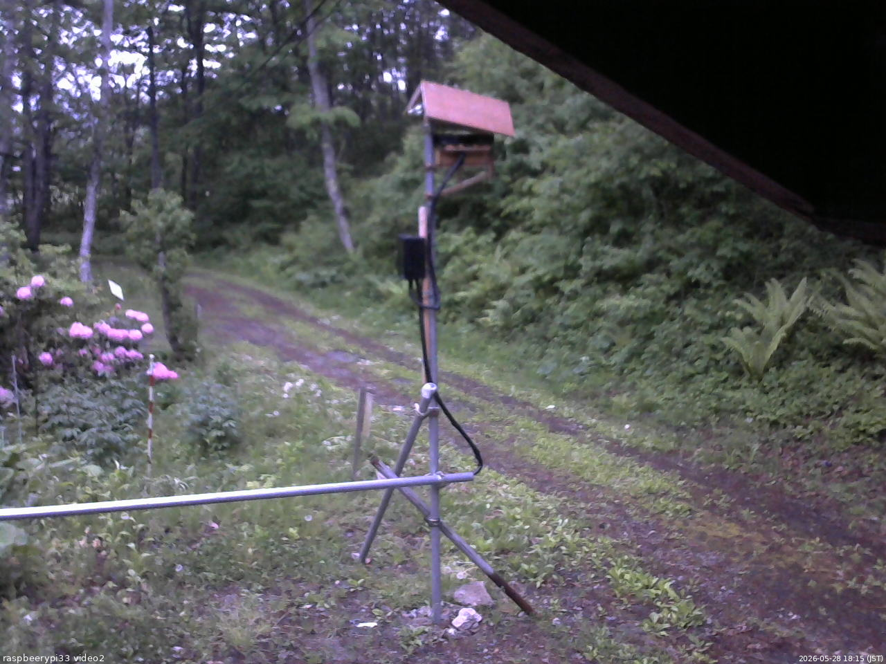 長野県菅平高原 ゆたか山荘 南側 2026/05/28 18:15