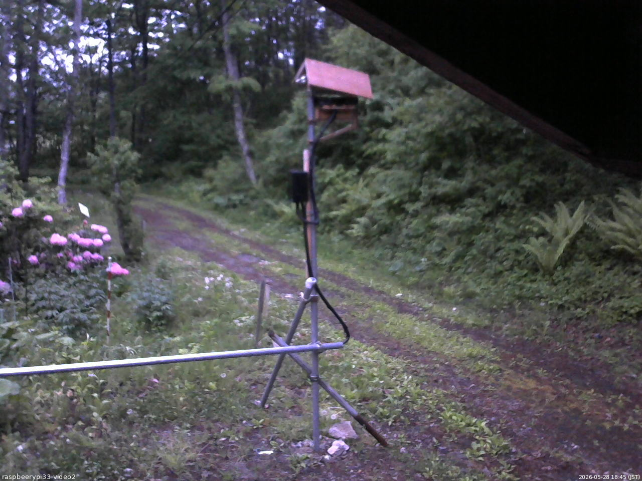 長野県菅平高原 ゆたか山荘 南側 2026/05/28 18:45