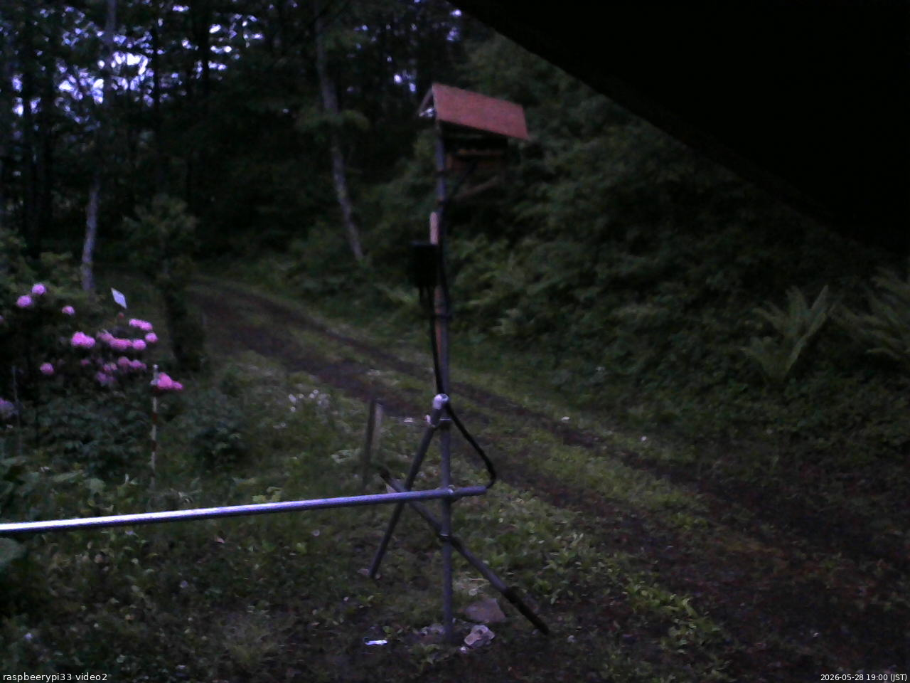 長野県菅平高原 ゆたか山荘 南側 2026/05/28 19:00