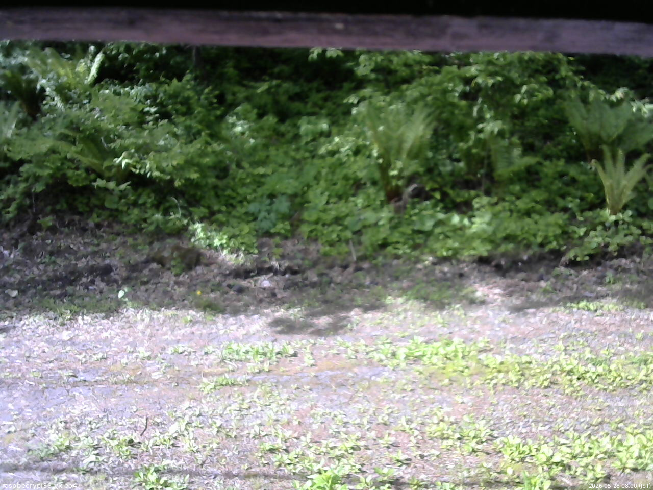 長野県菅平高原 ゆたか山荘 東側(坂下) 2026/05/28 08:00