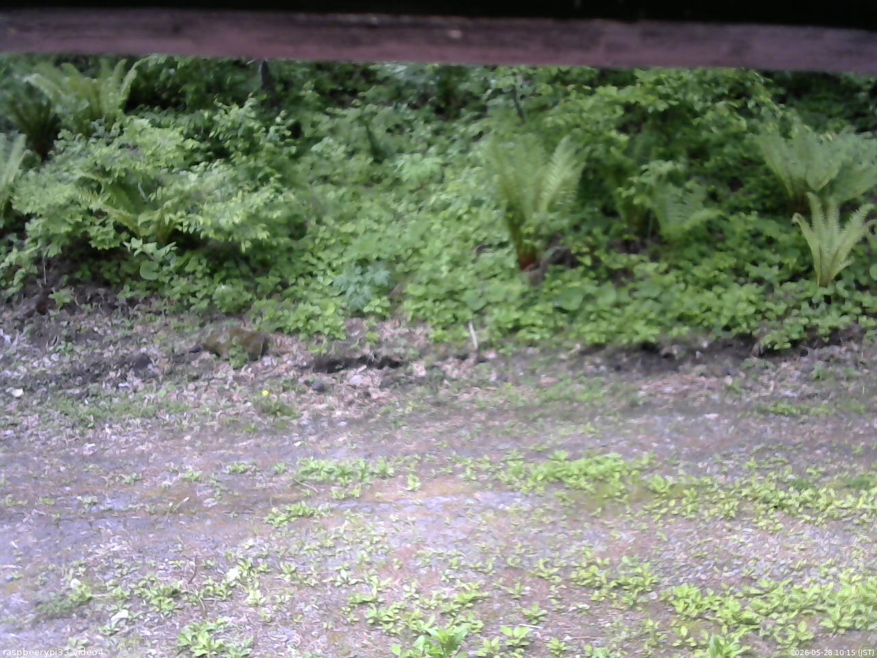長野県菅平高原 ゆたか山荘 東側(坂下) 2026/05/28 10:15