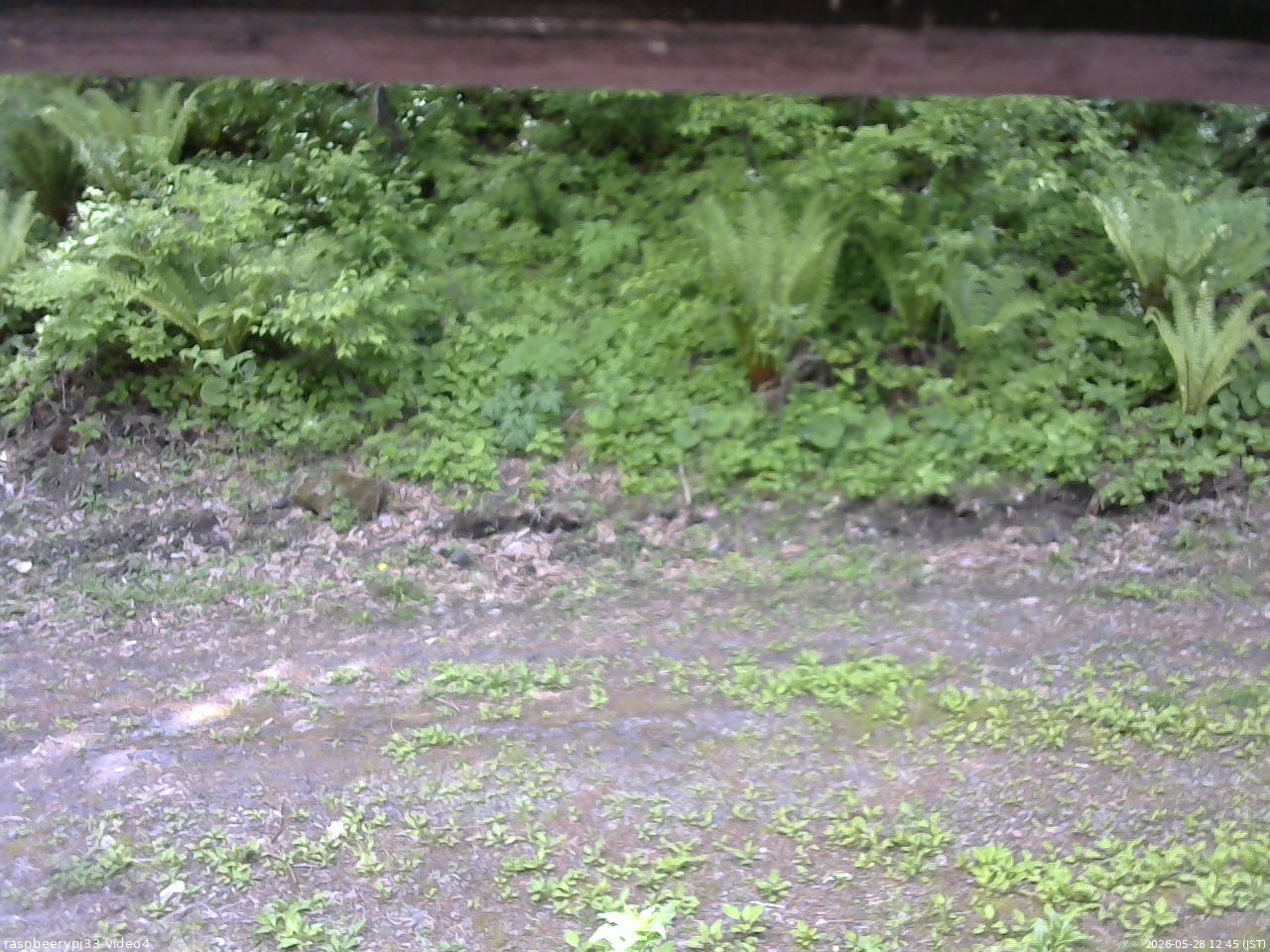 長野県菅平高原 ゆたか山荘 東側(坂下) 2026/05/28 12:45