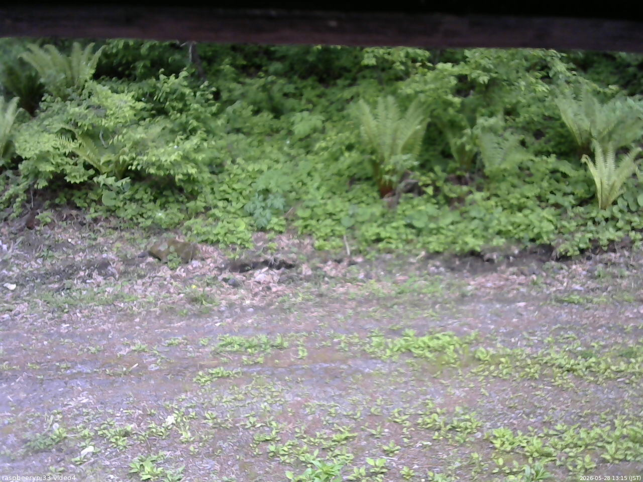 長野県菅平高原 ゆたか山荘 東側(坂下) 2026/05/28 13:15