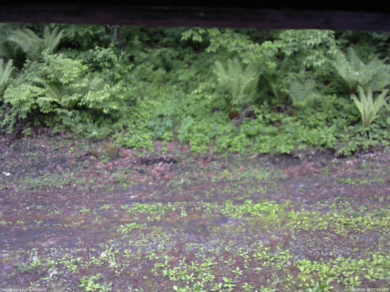 長野県菅平高原 ゆたか山荘 東側(坂下) 2026/05/28 17:15
