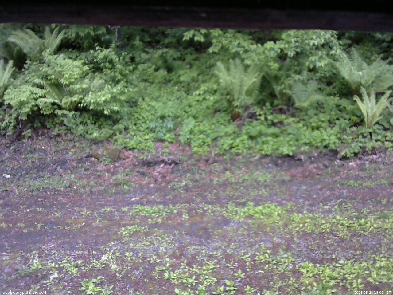 長野県菅平高原 ゆたか山荘 東側(坂下) 2026/05/28 18:00