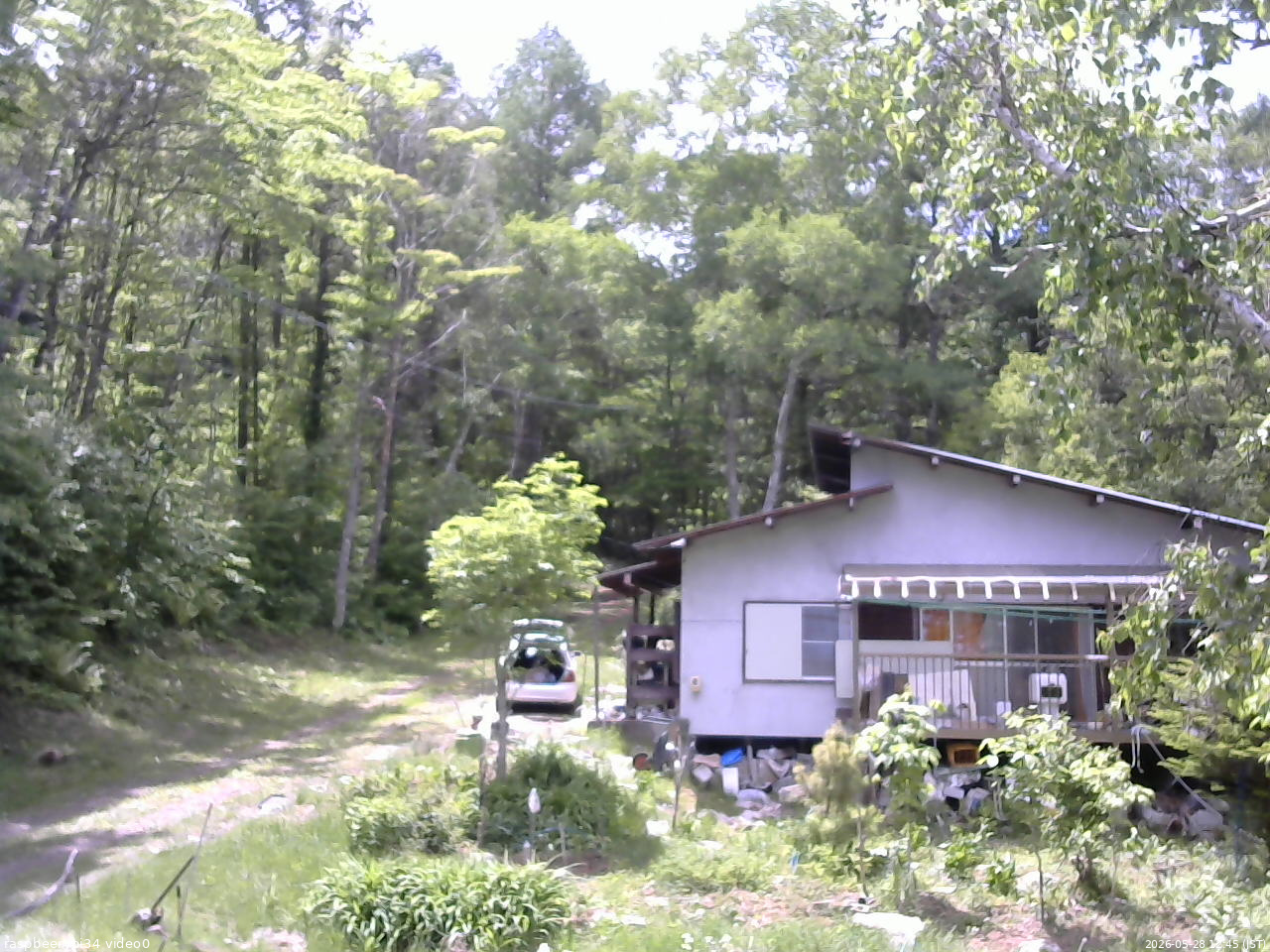 長野県菅平高原 ゆたか山荘 西側(坂上) 2026/05/28 12:45