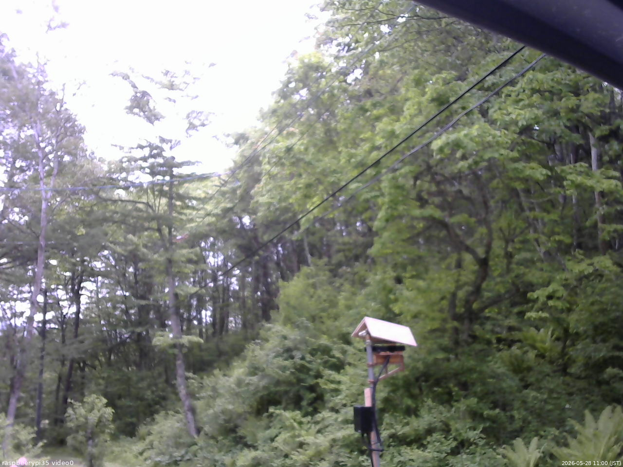長野県菅平高原 ゆたか山荘 温度計 2026/05/28 11:00
