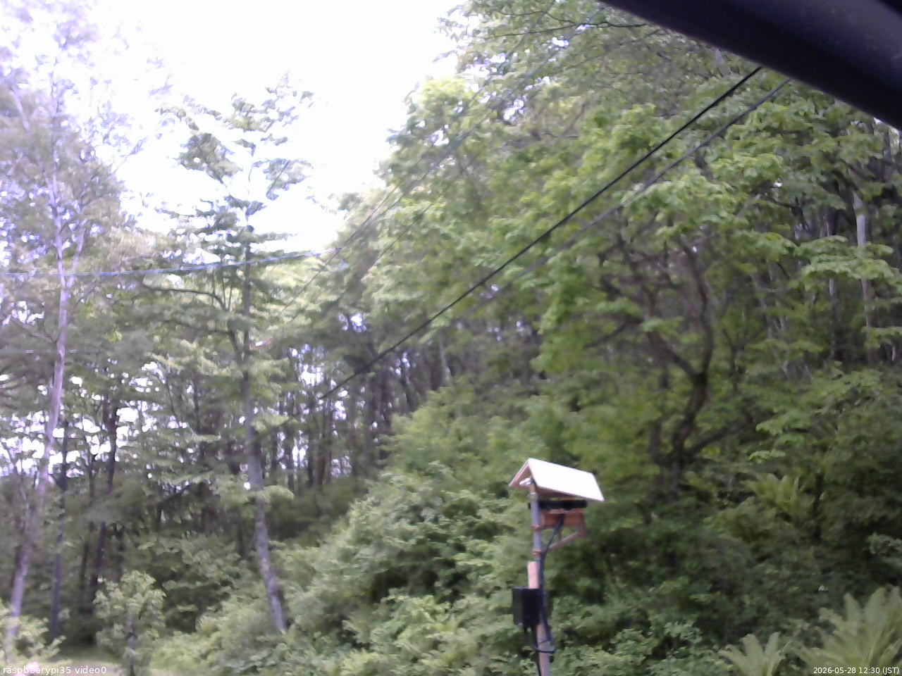 長野県菅平高原 ゆたか山荘 温度計 2026/05/28 12:30