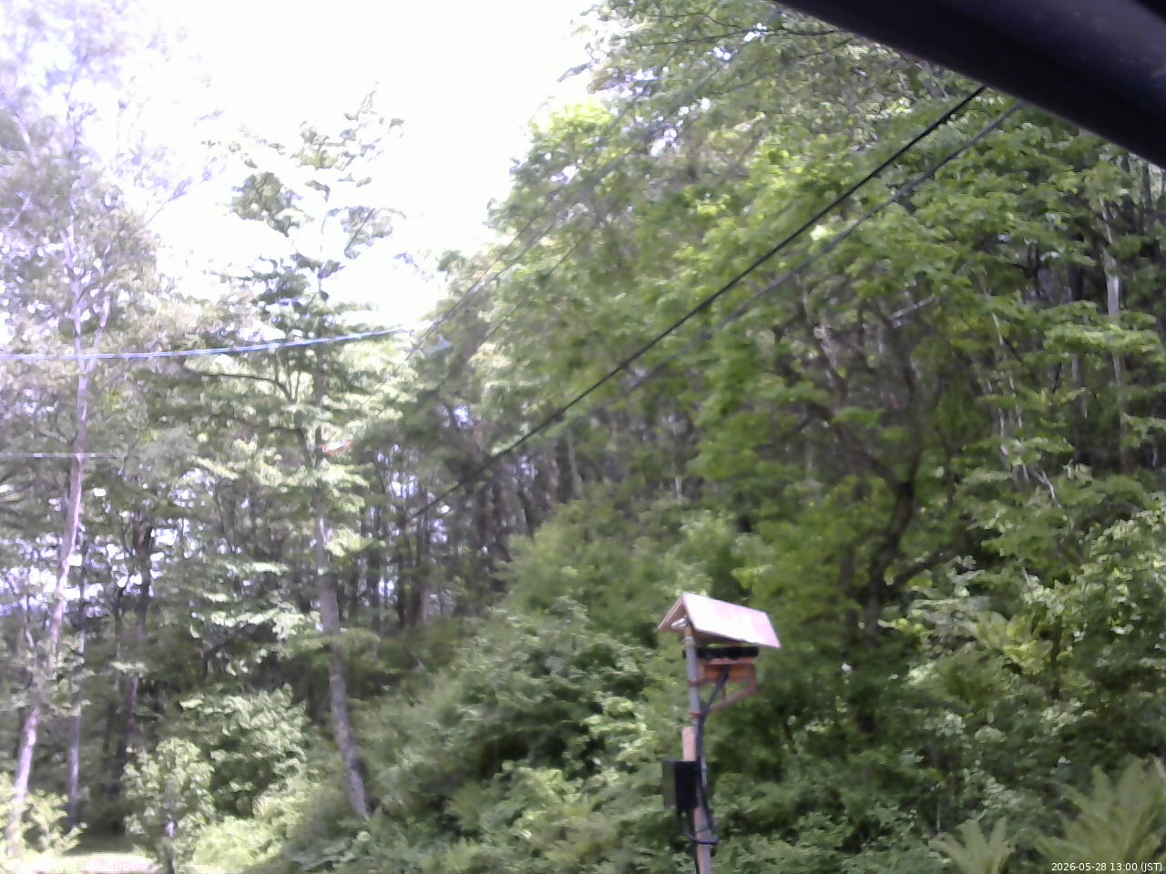 長野県菅平高原 ゆたか山荘 温度計 2026/05/28 13:00