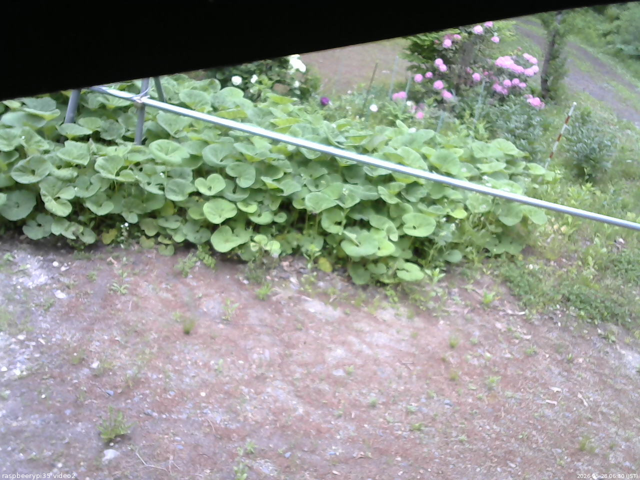 長野県菅平高原 ゆたか山荘 駐車場 2026/05/28 06:30
