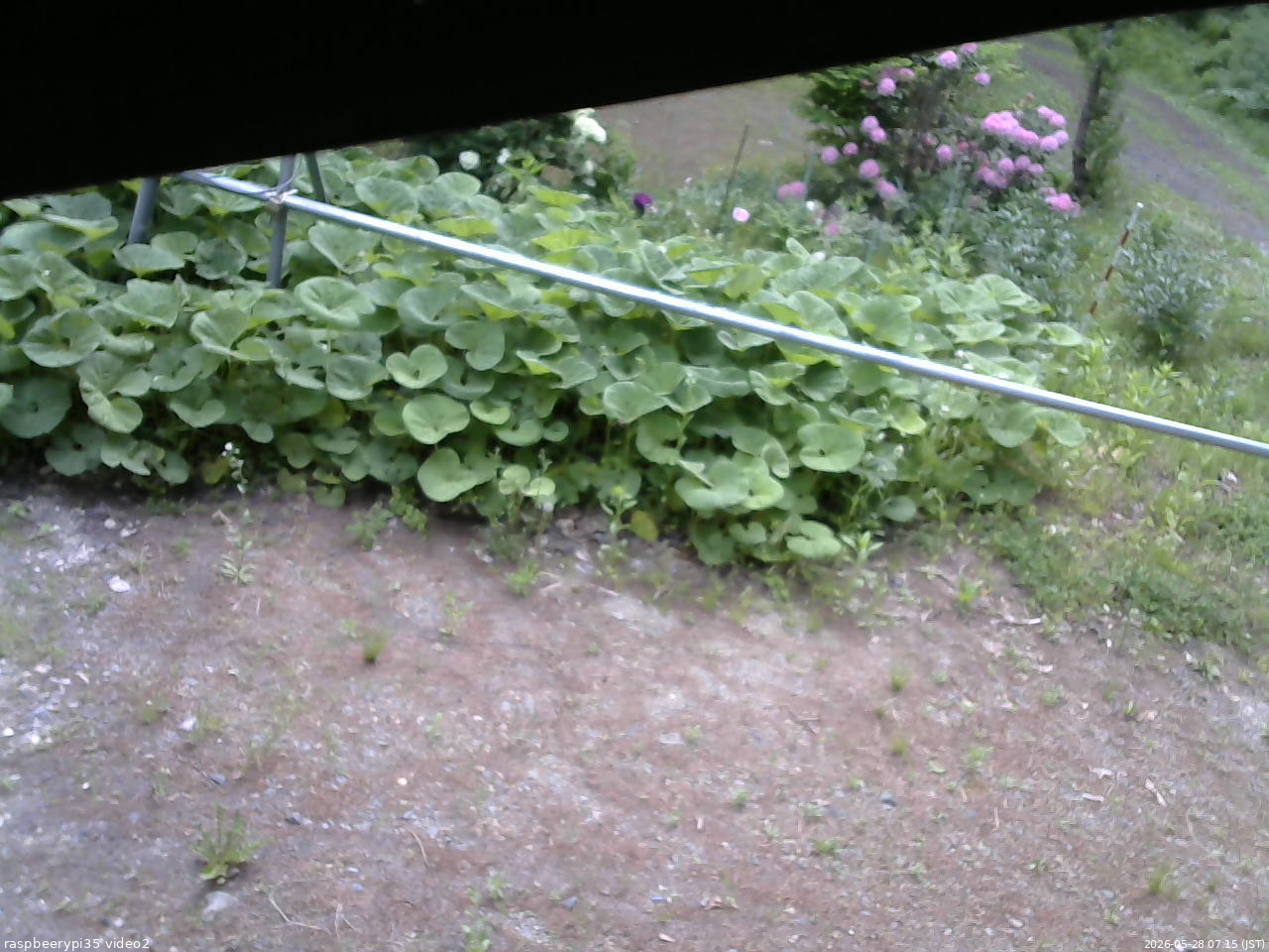長野県菅平高原 ゆたか山荘 駐車場 2026/05/28 07:15