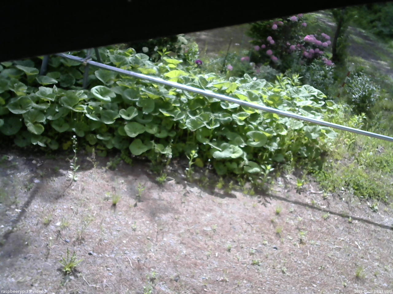 長野県菅平高原 ゆたか山荘 駐車場 2026/05/28 08:15