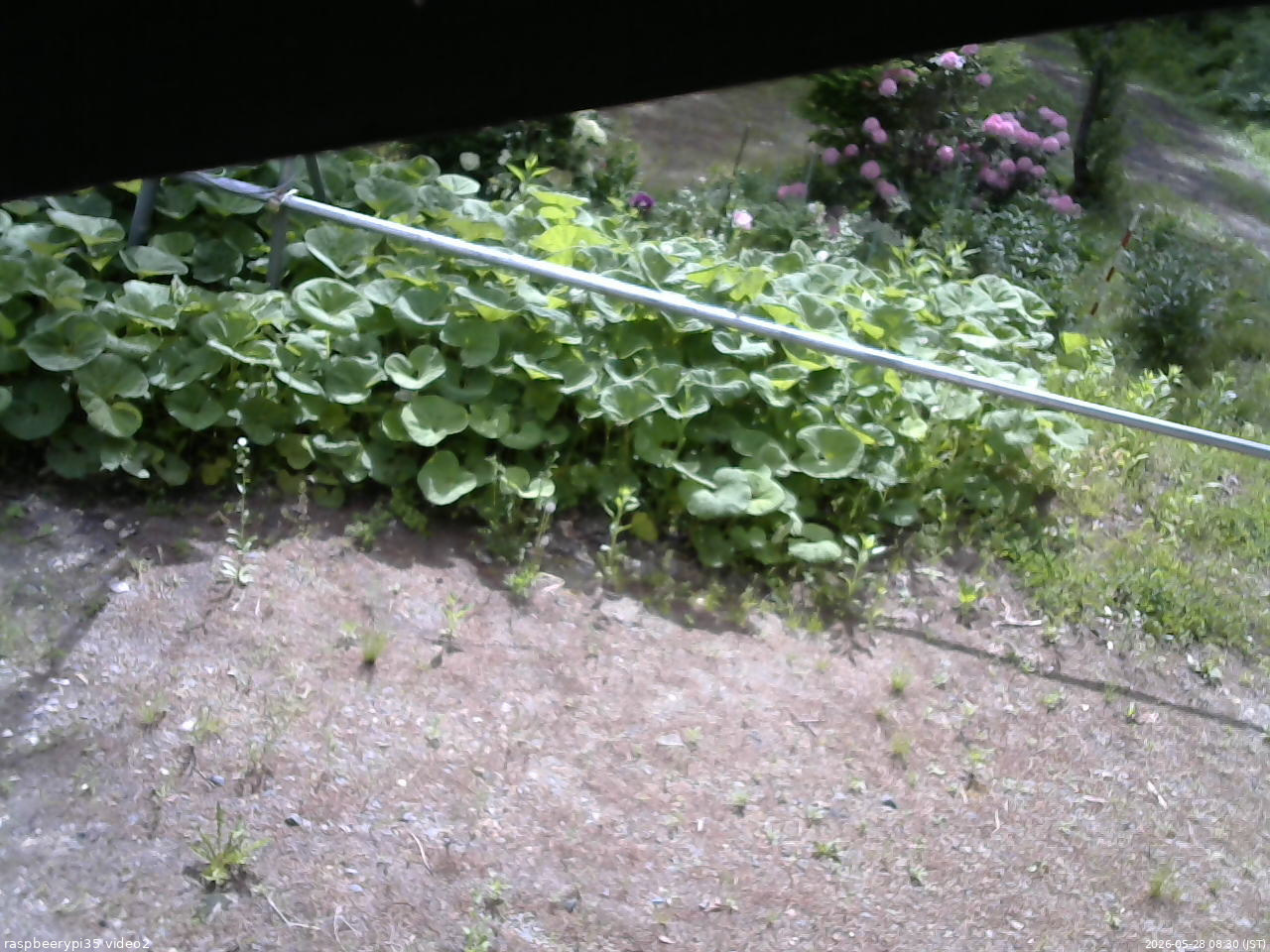 長野県菅平高原 ゆたか山荘 駐車場 2026/05/28 08:30