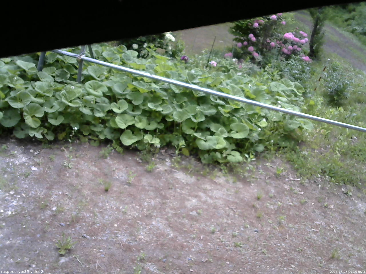 長野県菅平高原 ゆたか山荘 駐車場 2026/05/28 09:15