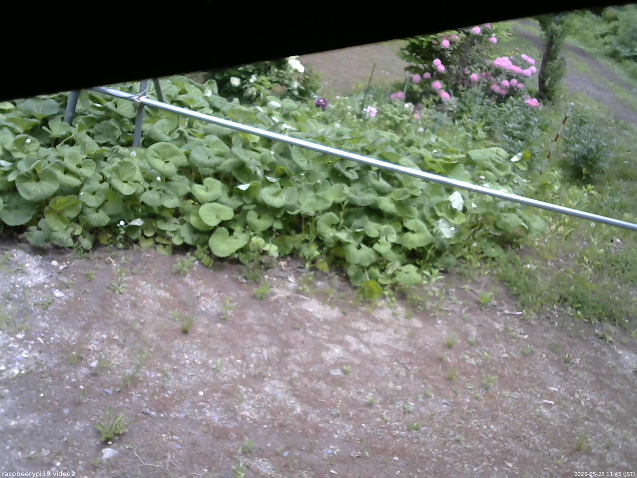 長野県菅平高原 ゆたか山荘 駐車場 2026/05/28 11:45