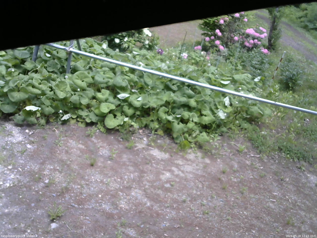 長野県菅平高原 ゆたか山荘 駐車場 2026/05/28 12:15