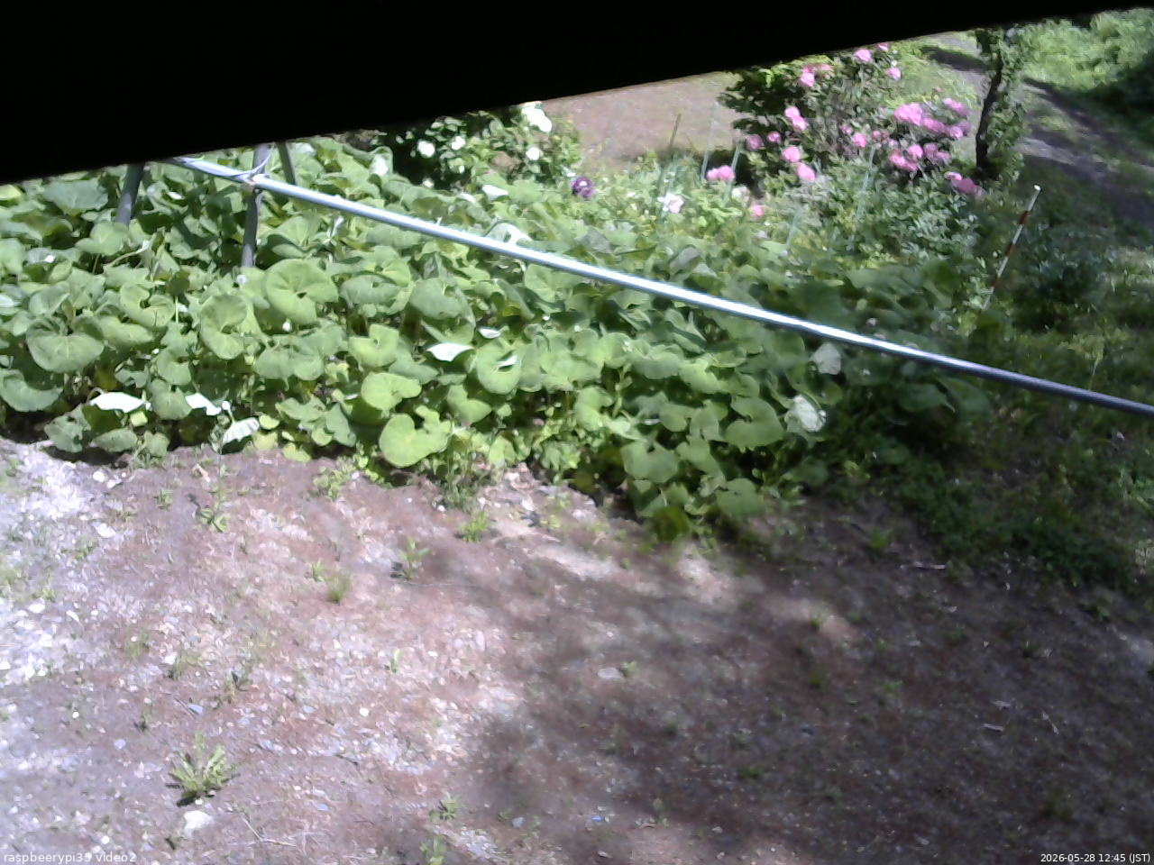 長野県菅平高原 ゆたか山荘 駐車場 2026/05/28 12:45