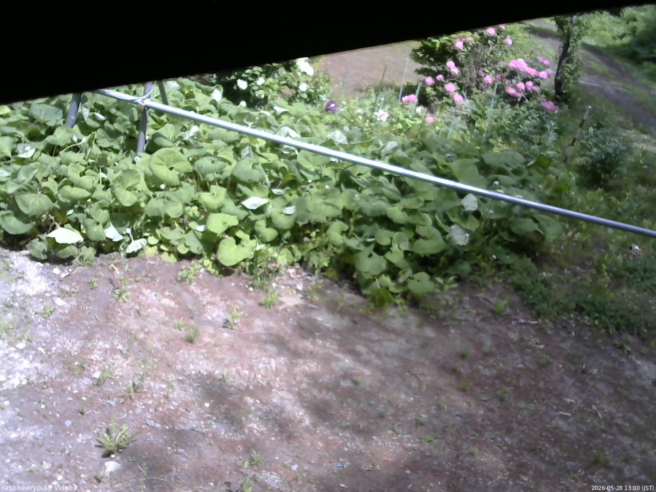 長野県菅平高原 ゆたか山荘 駐車場 2026/05/28 13:00
