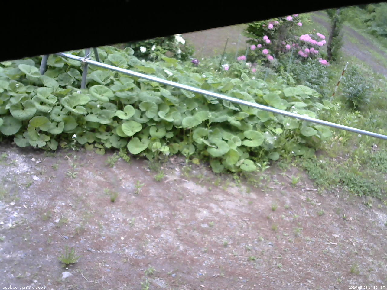 長野県菅平高原 ゆたか山荘 駐車場 2026/05/28 14:30