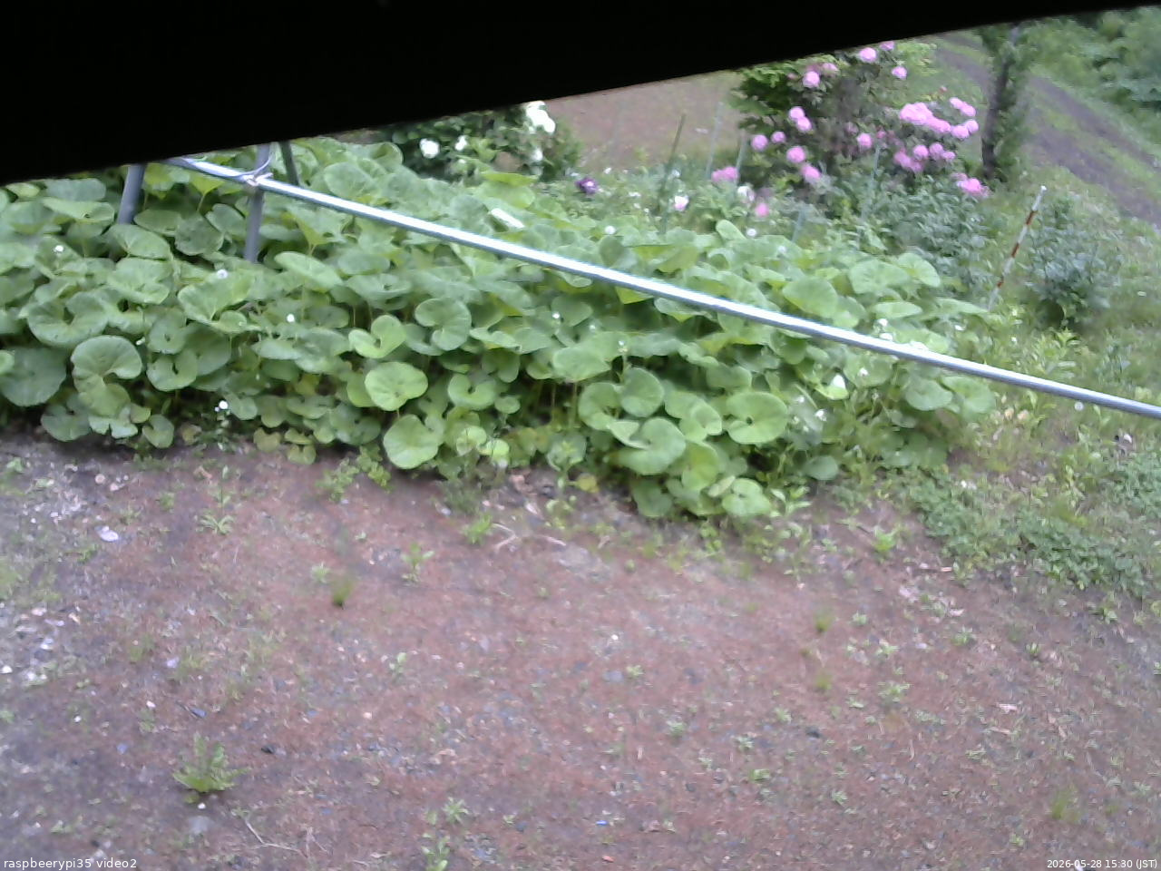 長野県菅平高原 ゆたか山荘 駐車場 2026/05/28 15:30