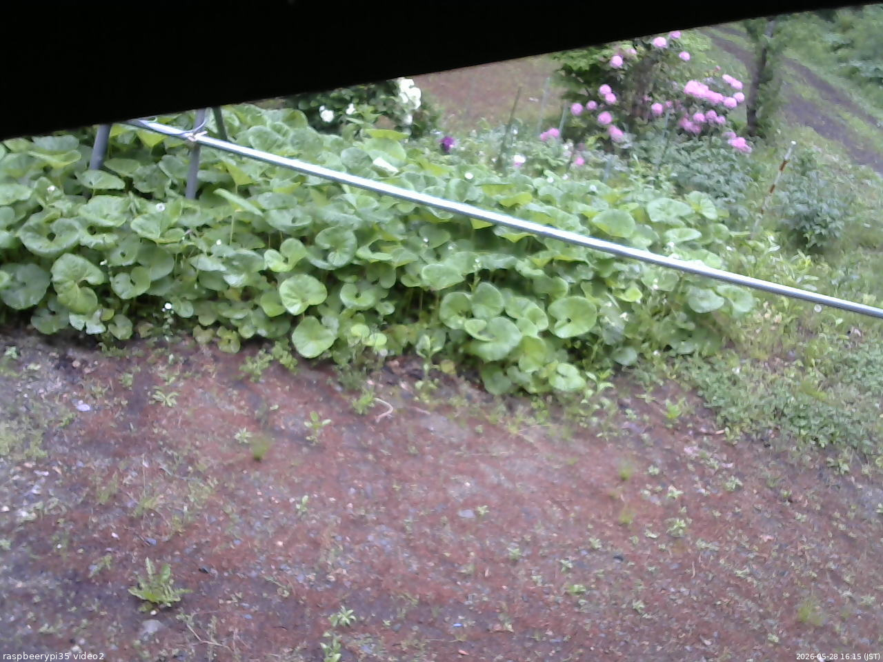 長野県菅平高原 ゆたか山荘 駐車場 2026/05/28 16:15