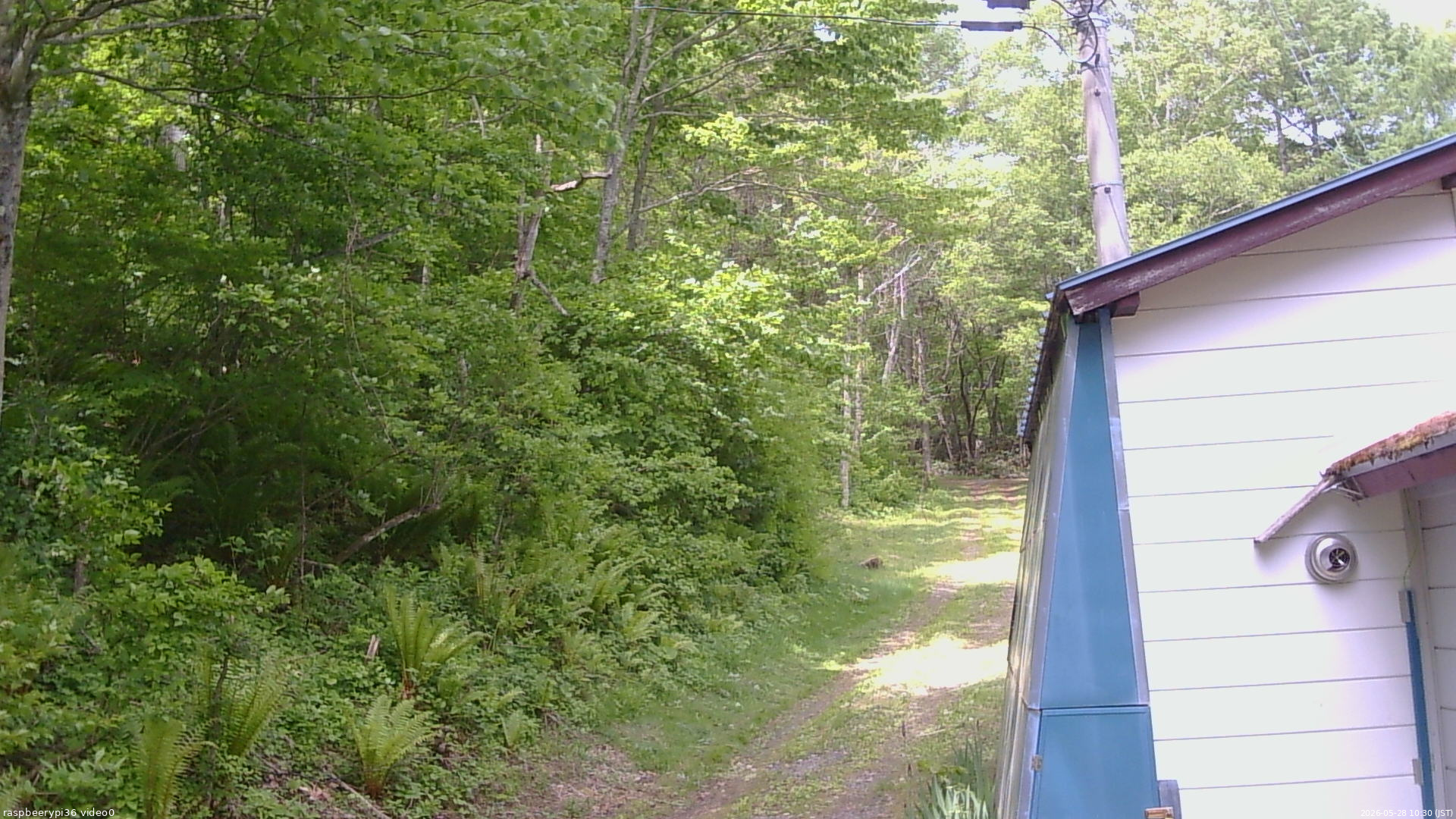 長野県菅平高原 ゆたか山荘 ゆたか山荘 2026/05/28 10:30