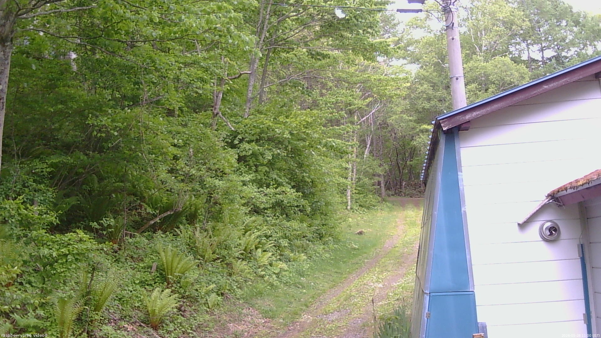 長野県菅平高原 ゆたか山荘 ゆたか山荘 2026/05/28 11:00