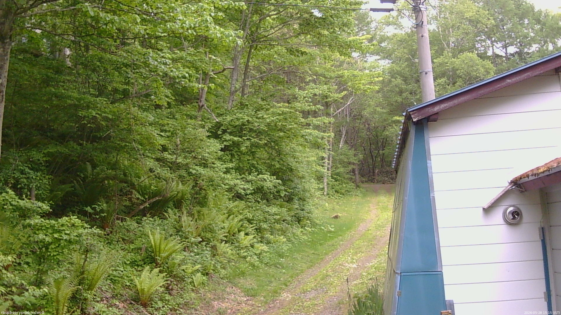 長野県菅平高原 ゆたか山荘 ゆたか山荘 2026/05/28 15:15