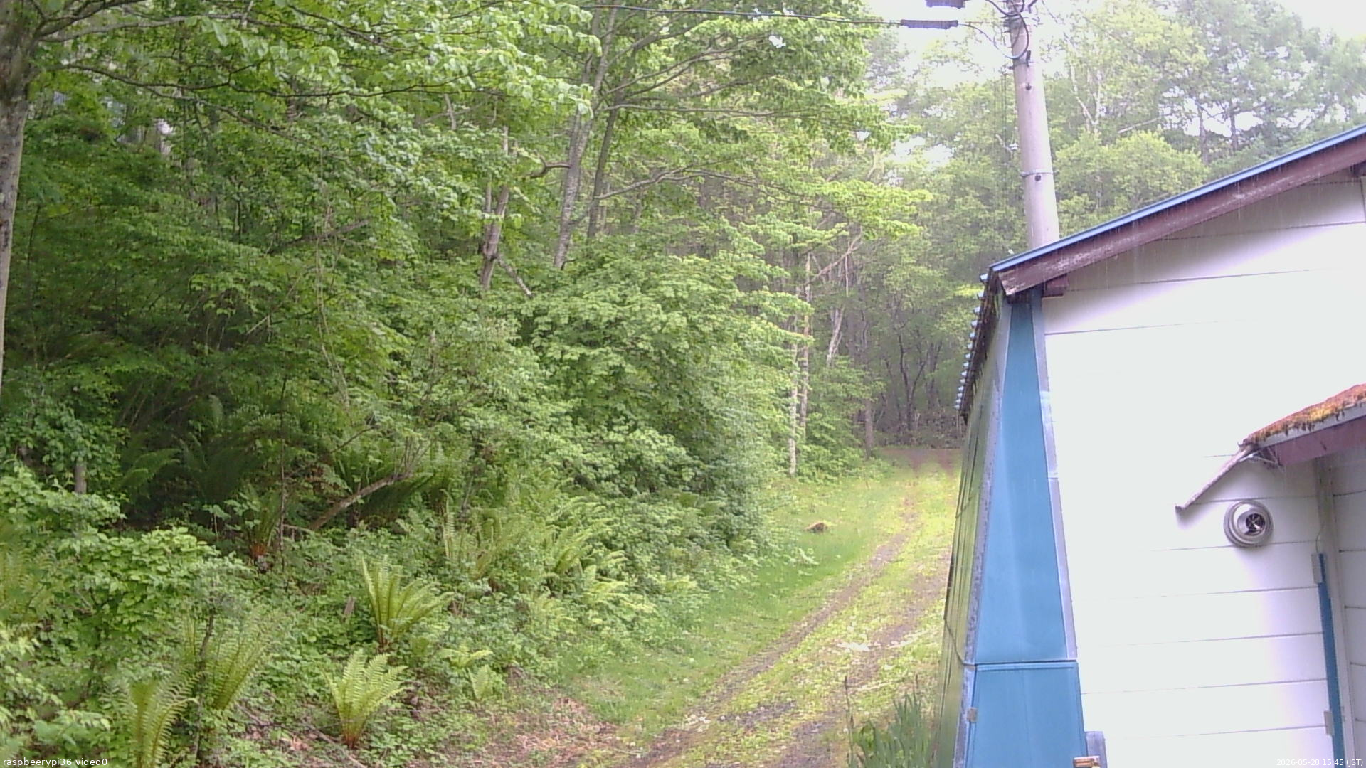 長野県菅平高原 ゆたか山荘 ゆたか山荘 2026/05/28 15:45