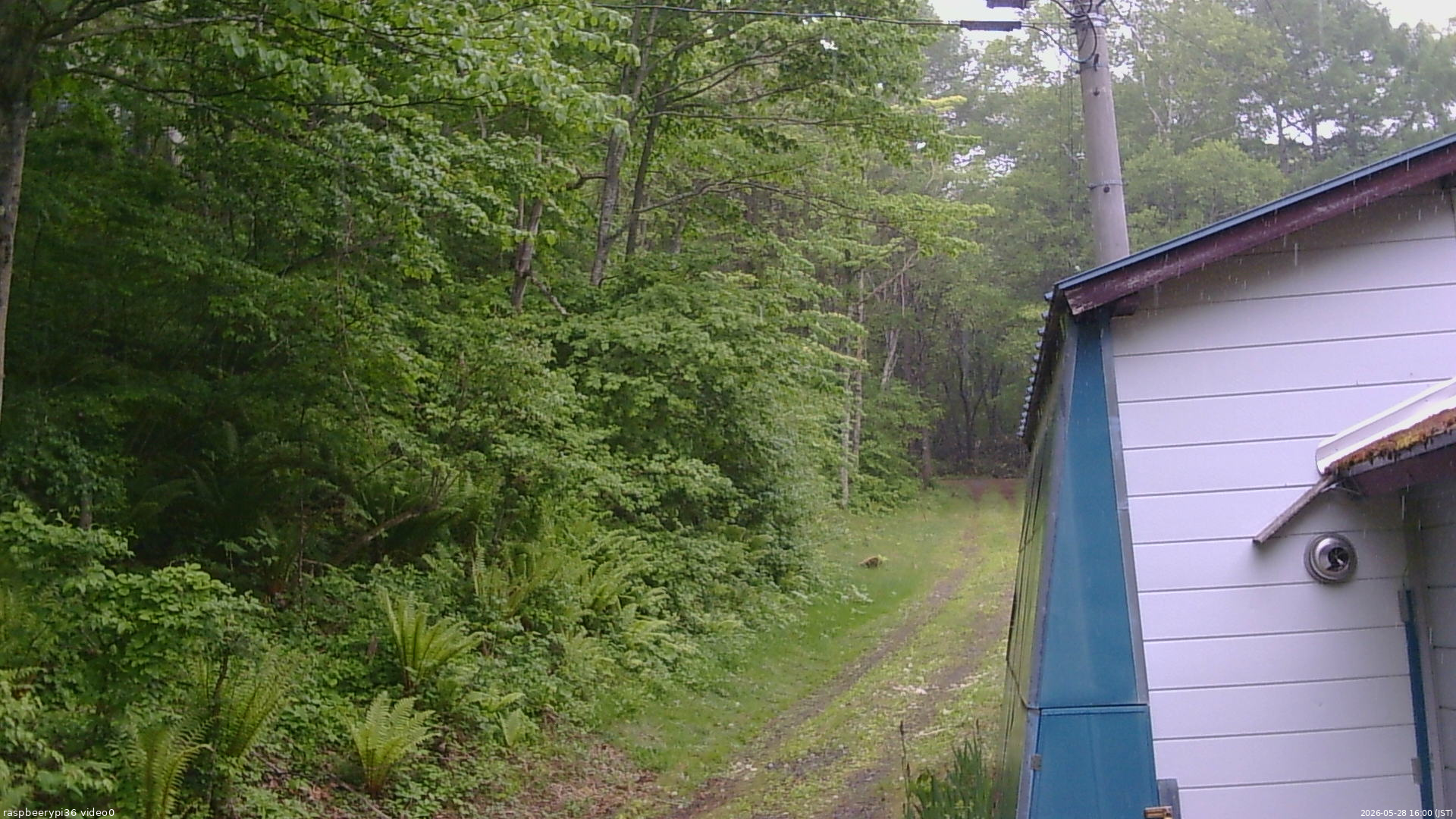 長野県菅平高原 ゆたか山荘 ゆたか山荘 2026/05/28 16:00