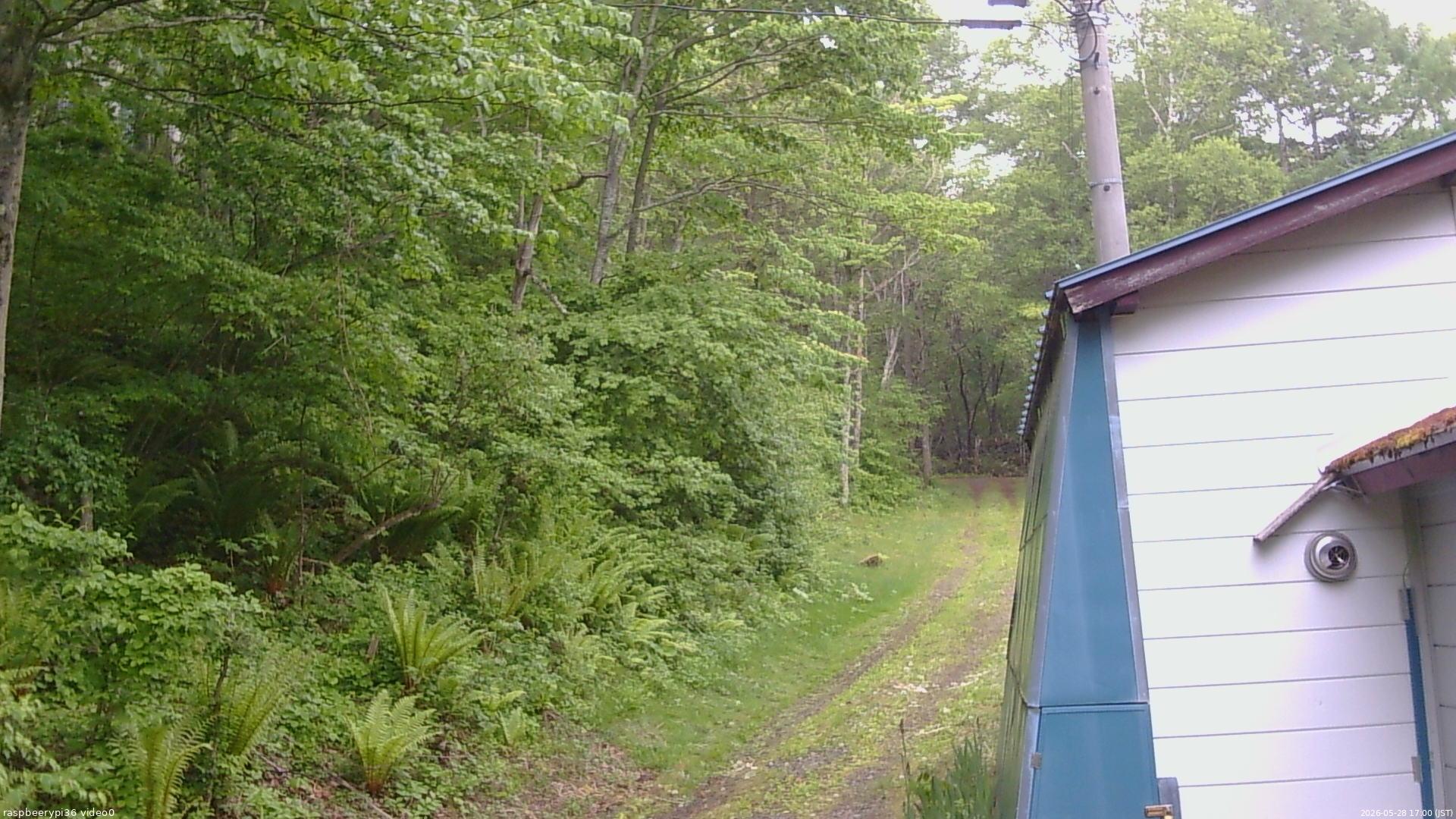 長野県菅平高原 ゆたか山荘 ゆたか山荘 2026/05/28 17:00