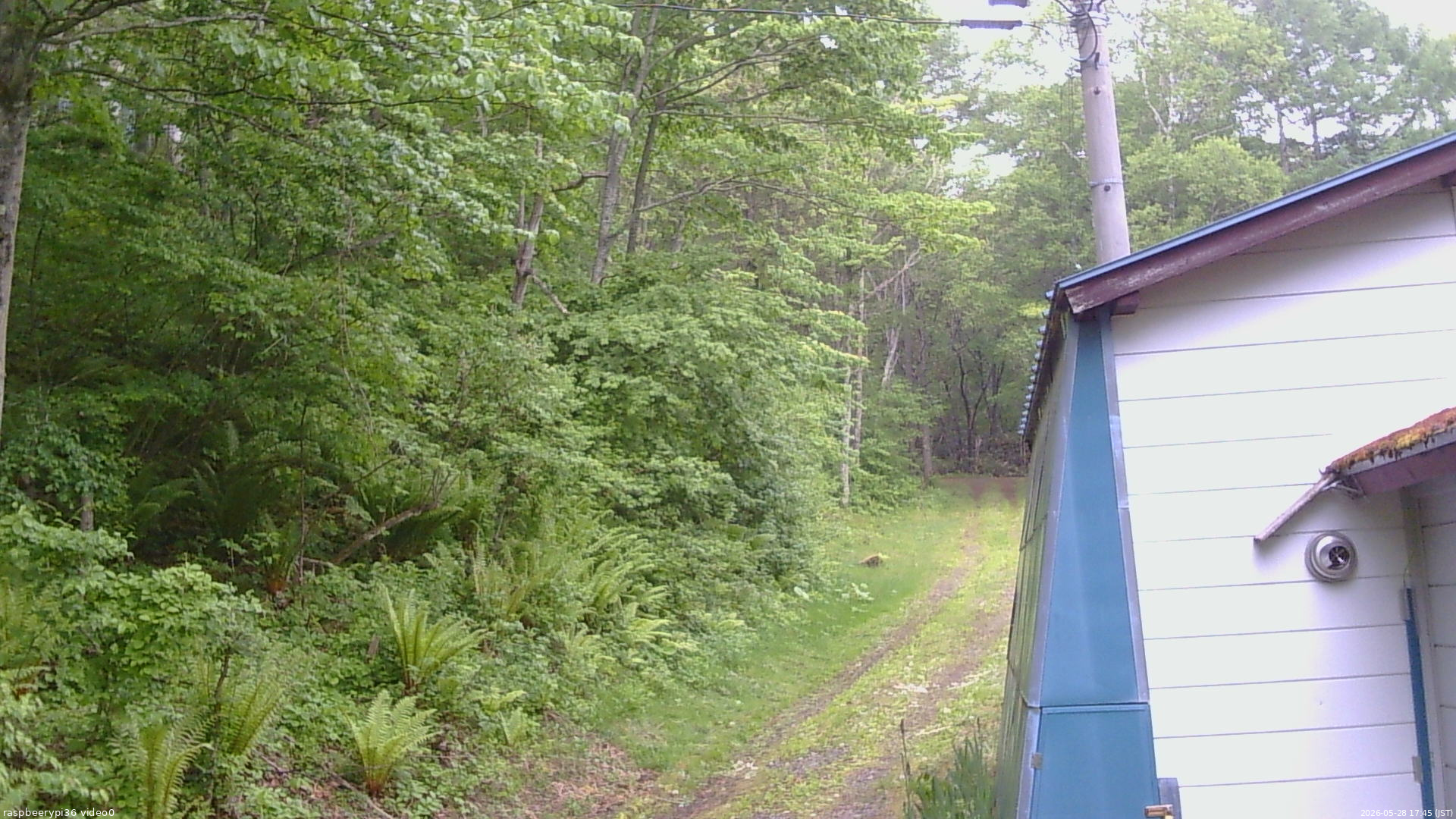 長野県菅平高原 ゆたか山荘 ゆたか山荘 2026/05/28 17:45