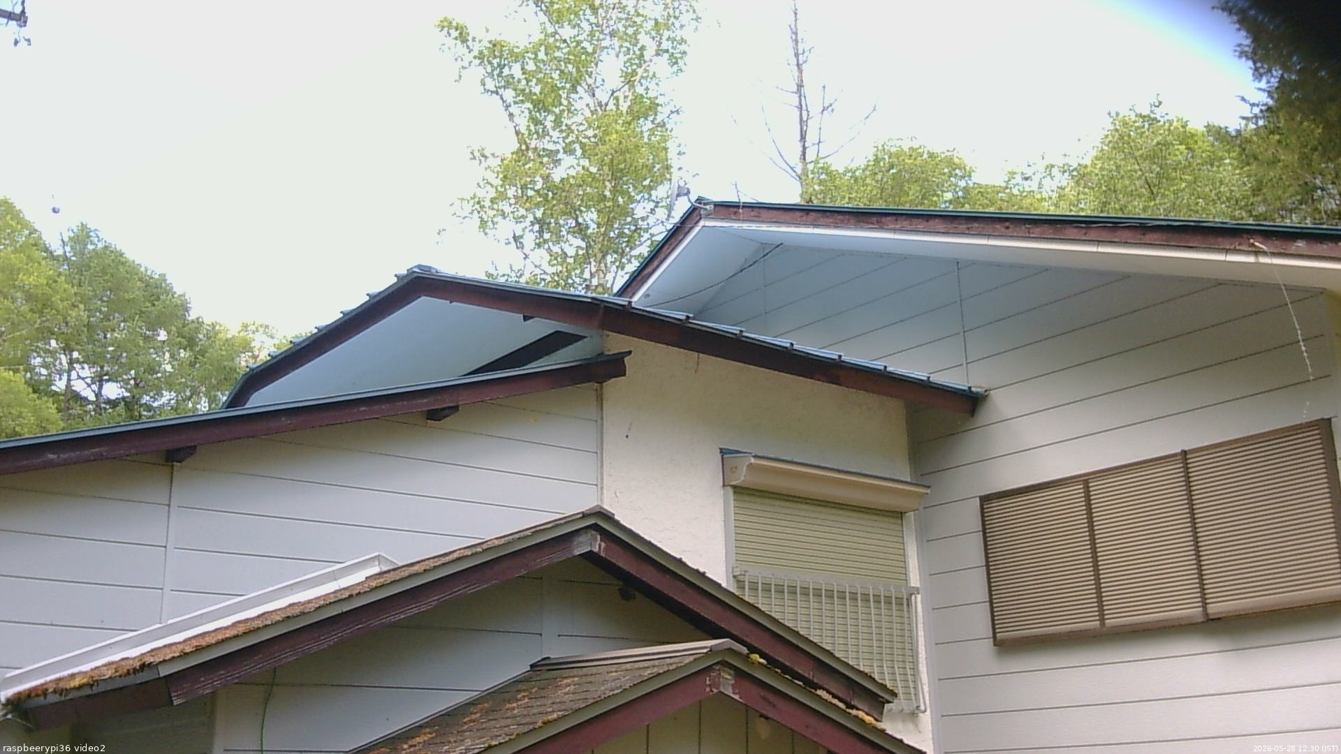 長野県菅平高原 ゆたか山荘 駐車場奥 2026/05/28 12:30