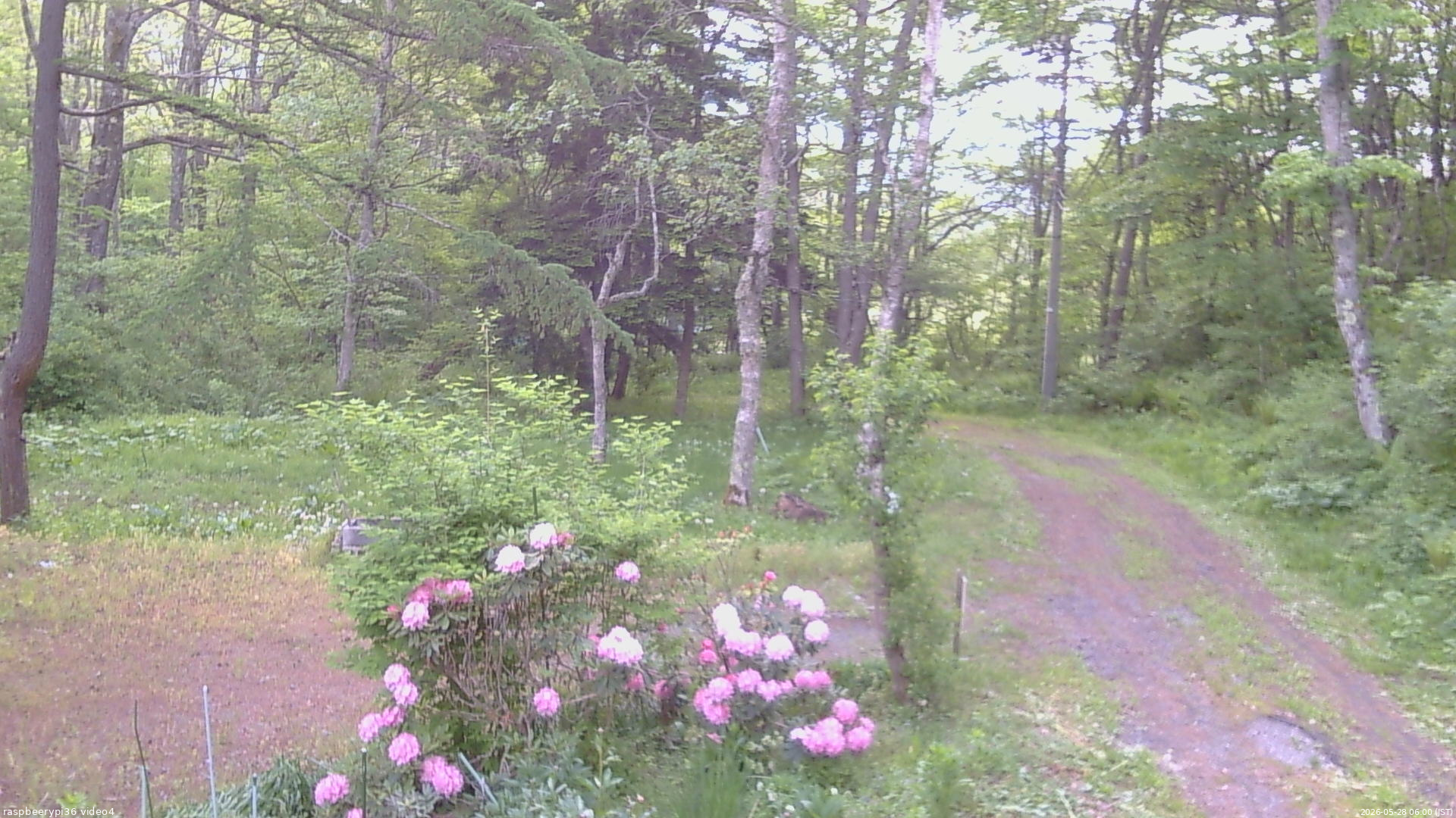 長野県菅平高原 ゆたか山荘 坂上 2026/05/28 06:00
