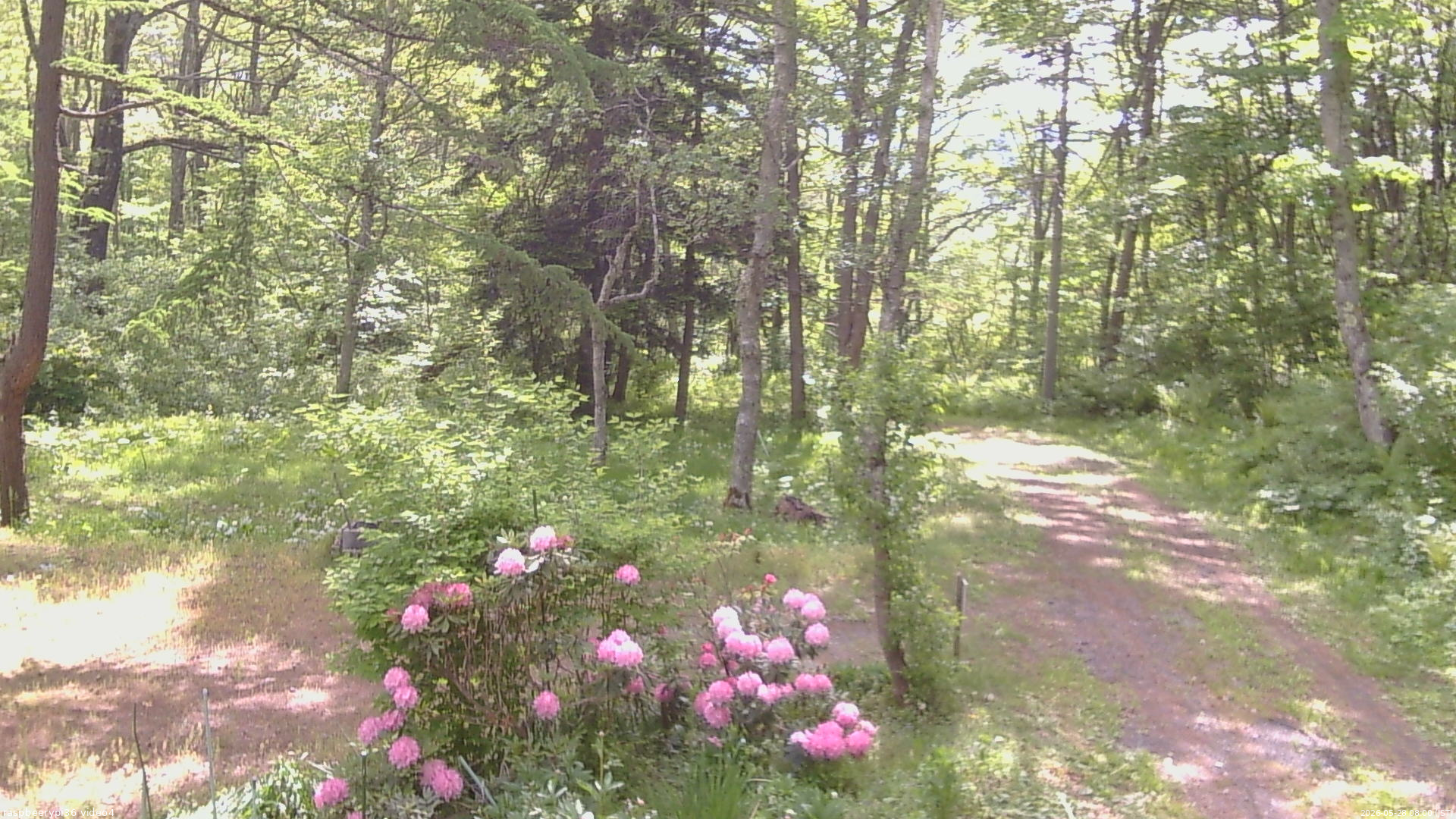長野県菅平高原 ゆたか山荘 坂上 2026/05/28 08:00