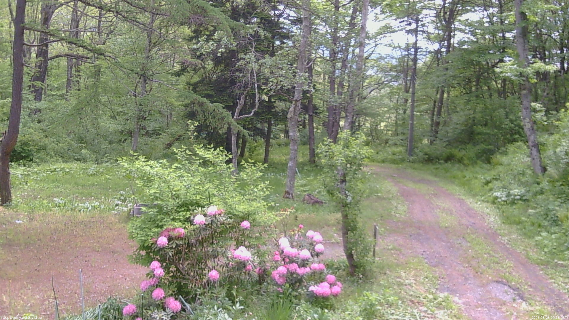 長野県菅平高原 ゆたか山荘 坂上 2026/05/28 09:15