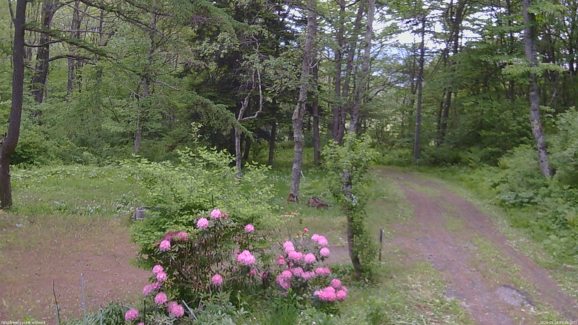 長野県菅平高原 ゆたか山荘 坂上 2026/05/28 09:30