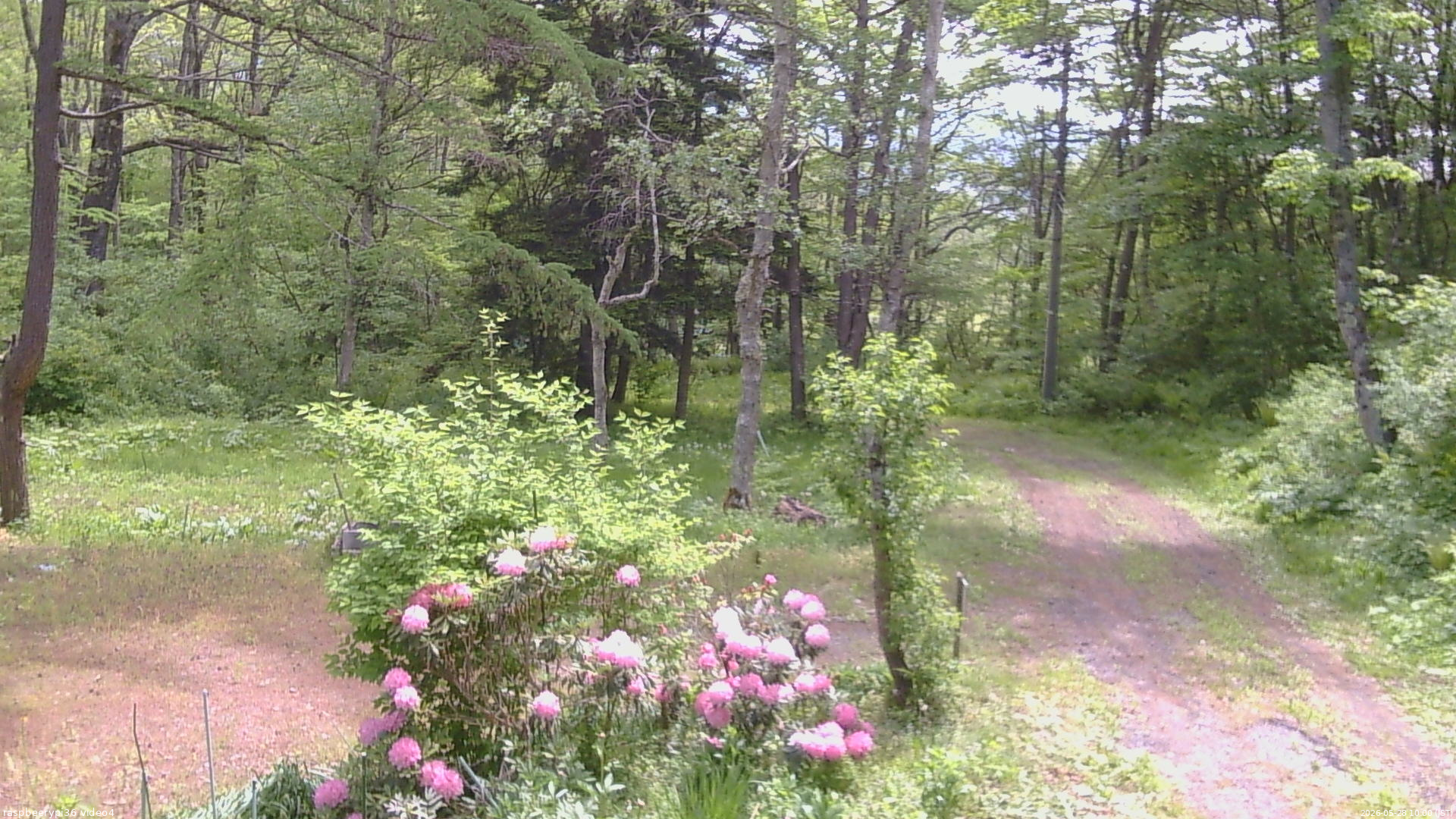 長野県菅平高原 ゆたか山荘 坂上 2026/05/28 10:00