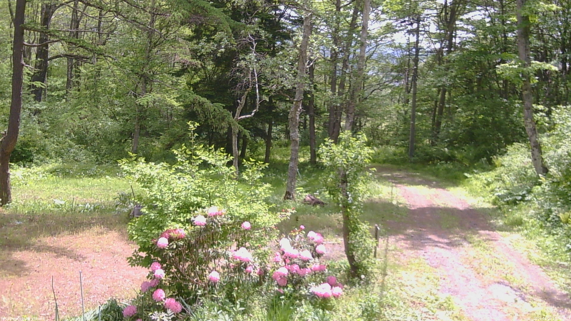 長野県菅平高原 ゆたか山荘 坂上 2026/05/28 10:30