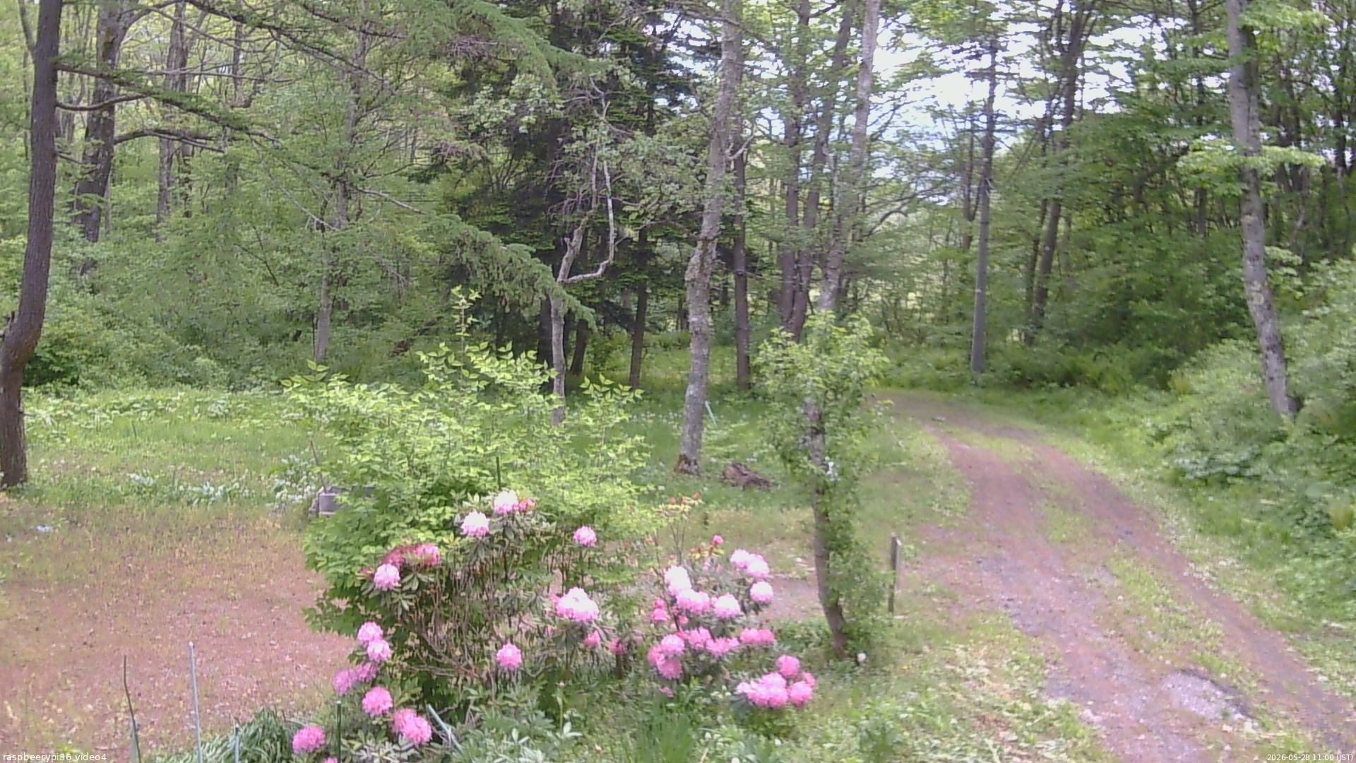長野県菅平高原 ゆたか山荘 坂上 2026/05/28 11:00