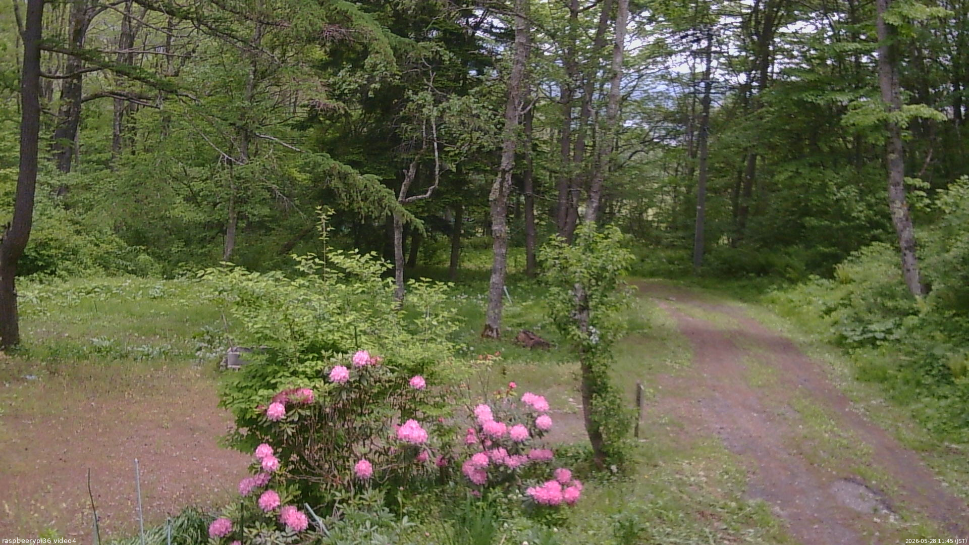 長野県菅平高原 ゆたか山荘 坂上 2026/05/28 11:45