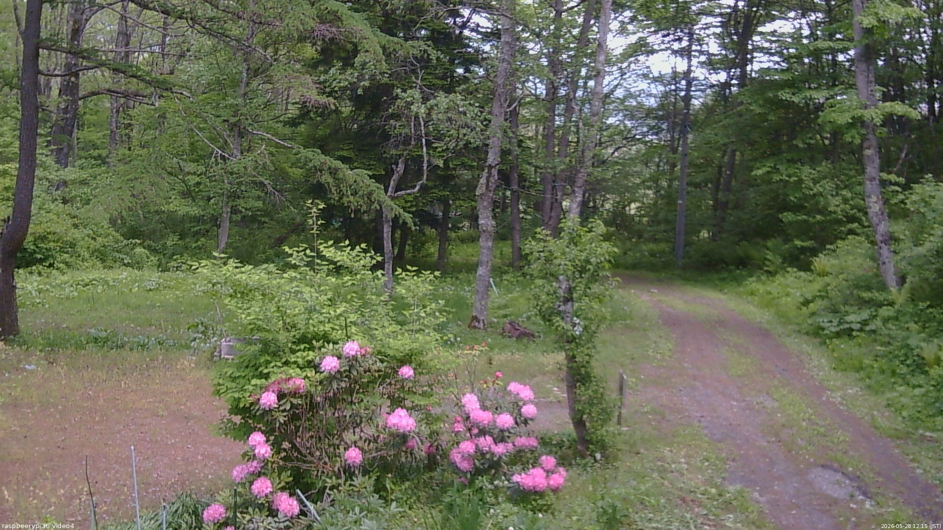 長野県菅平高原 ゆたか山荘 坂上 2026/05/28 12:15